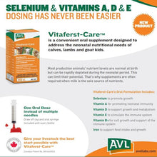 Load image into Gallery viewer, VITAFERST-CARE SELENIUM &amp; VITAMINS A, D &amp; E, B12 AND IRON 250ml
